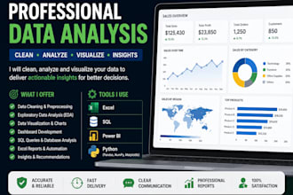 do profession data analysis, excel,