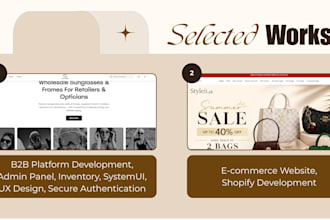 custom website or shopify ecommerce store