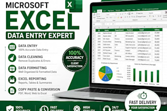 do microsoft excel data entry data cleaning and reporting