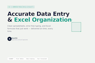 do accurate data entry and excel data organization
