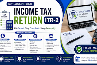 income tax return itr 2 with expert tax consultation