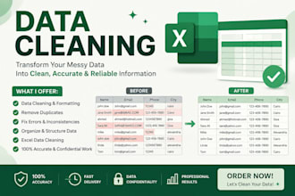 do you entry data and data cleaning on excel