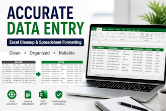 do accurate data entry and excel cleanup