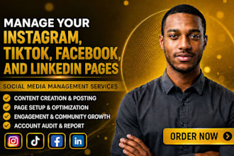 manage your instagram, tiktok, facebook, and linkedin pages