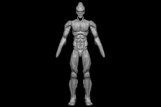 zbrush skull wip,3d anatomy sculpt,anime  character figurine modelling,animation