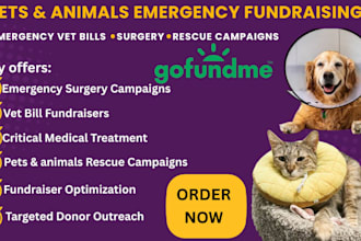 promote your pets medical gofundme campaign to supporters for donations