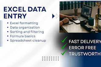 do excel data entry, spreadsheet formatting, and cleanup
