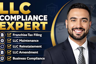 do franchise tax compliance filing, llc maintenance, reinstate and amend llc