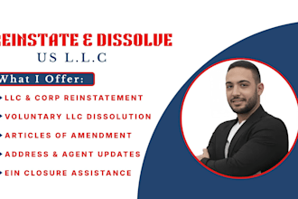 do US llc reinstatement, llc dissolution, amendment, and address change