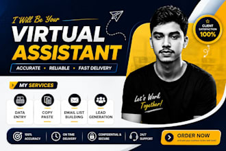 be your virtual assistant for data entry,copy paste