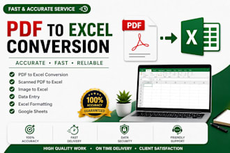 do fast PDF to excel conversion professionally