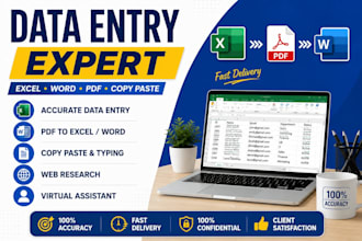 do accurate data entry, excel, copy paste, typing