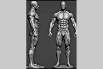 3d anatomy sculpture 3d mythological 3d religious relief 3d wall relief stl card