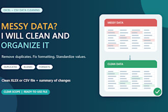 clean organize and format your excel or CSV data