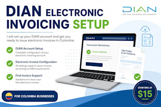 set up your dian electronic invoicing
