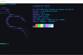 perform a website vulnerability assessment using owasp top 10 standards