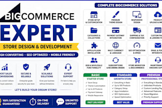design, redesign and customize your bigcommerce store for sales