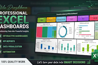 create professional excel dashboards and data visualisation