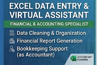 be your professional excel virtual assistant and financial data entry specialist