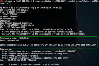 conduct a network security assessment