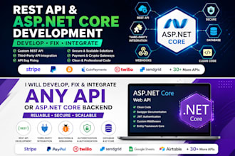 develop, fix, and integrate any rest API, thirdparty API