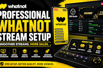 create a professional whatnot obs setup for live sellers
