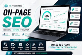 professional on page SEO and google ranking optimization