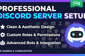 set up a professional discord server for gaming or community