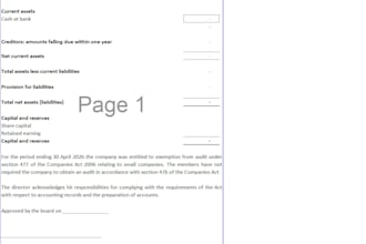 file and prepare annual account and tax ct600 for UK
