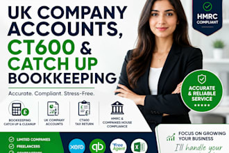 prepare accounts for ct600 filing and catchup cleanup bookkeeping