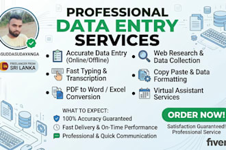 do professional data entry, typing and copy paste work