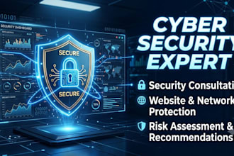 perform basic cybersecurity assessment and security audit