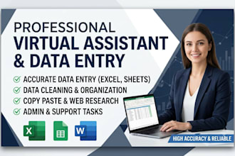 be your virtual assistant for data entry