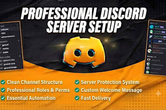 build a professional, discord server for your community