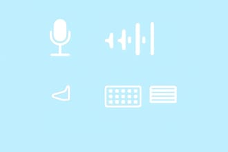 transcribe your audio to text in 24 hours