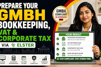 prepare gmbh bookkeeping, vat and corporate tax via elster