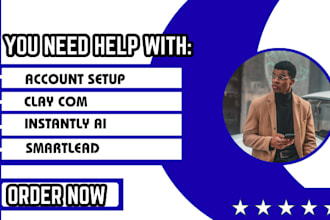setup and manage instantly ai clay com smartlead for high email deliverability