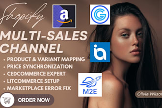 setup shopify marketplace integration cedcommerce litcommerce m2e sellbrite
