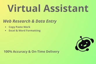 do expert web research and data entry