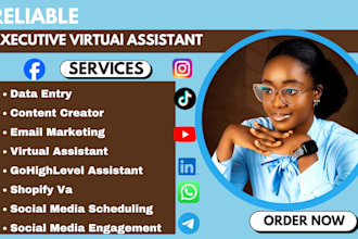 admin task, executive virtual assistant, ghl,data entry, shopify va social media