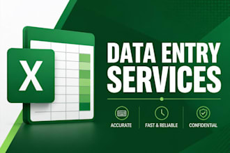do accurate data entry and excel input for you