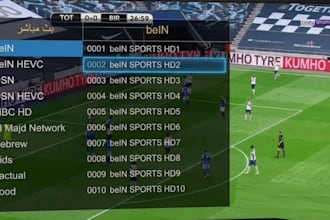 provide worldwide tv sports entertainment news channels