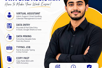 professional data entry data mining web research
