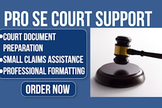 provide pro se court document preparation support