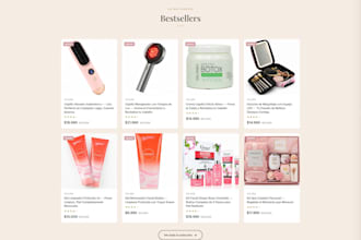 build a professional online store or ecommerce website
