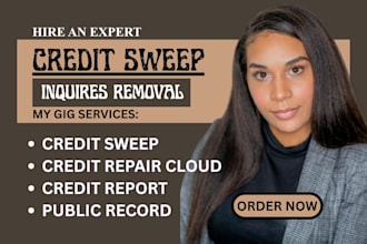review your credit report and prepare custom credit dispute letters
