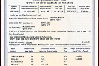do professional data entry and copy paste typing work