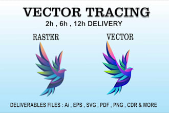 convert raster to vector, redraw, and vectorize logo