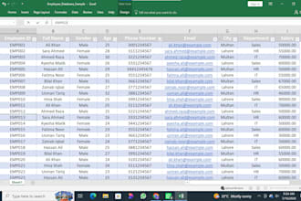 do microsoft excel data entry