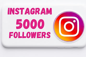 buy 2,000 instagram followers fast